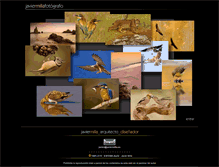 Tablet Screenshot of javiermilla.es